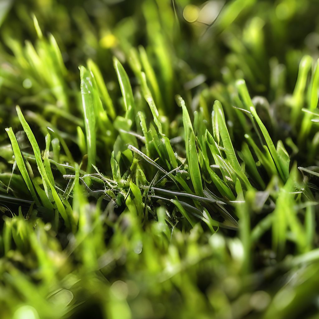 Free Stock image close up of grass blades