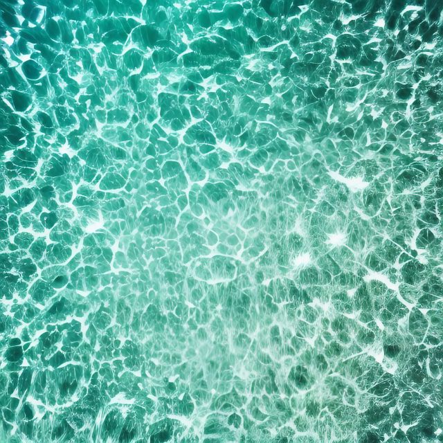 Glistening Tropical Water Shallow Beach Waves Free Stock Photo