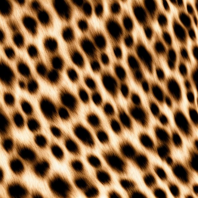 Cheetah Fur Texture Background Free Stock Image