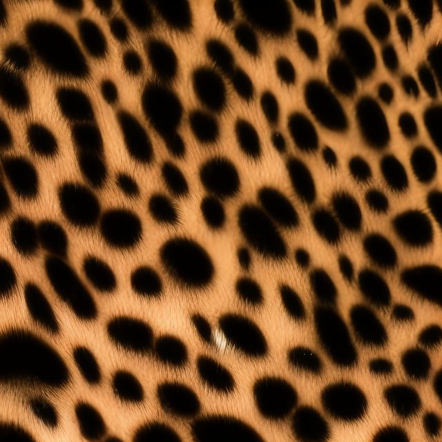 Close up of Animal print pattern markings free image download.