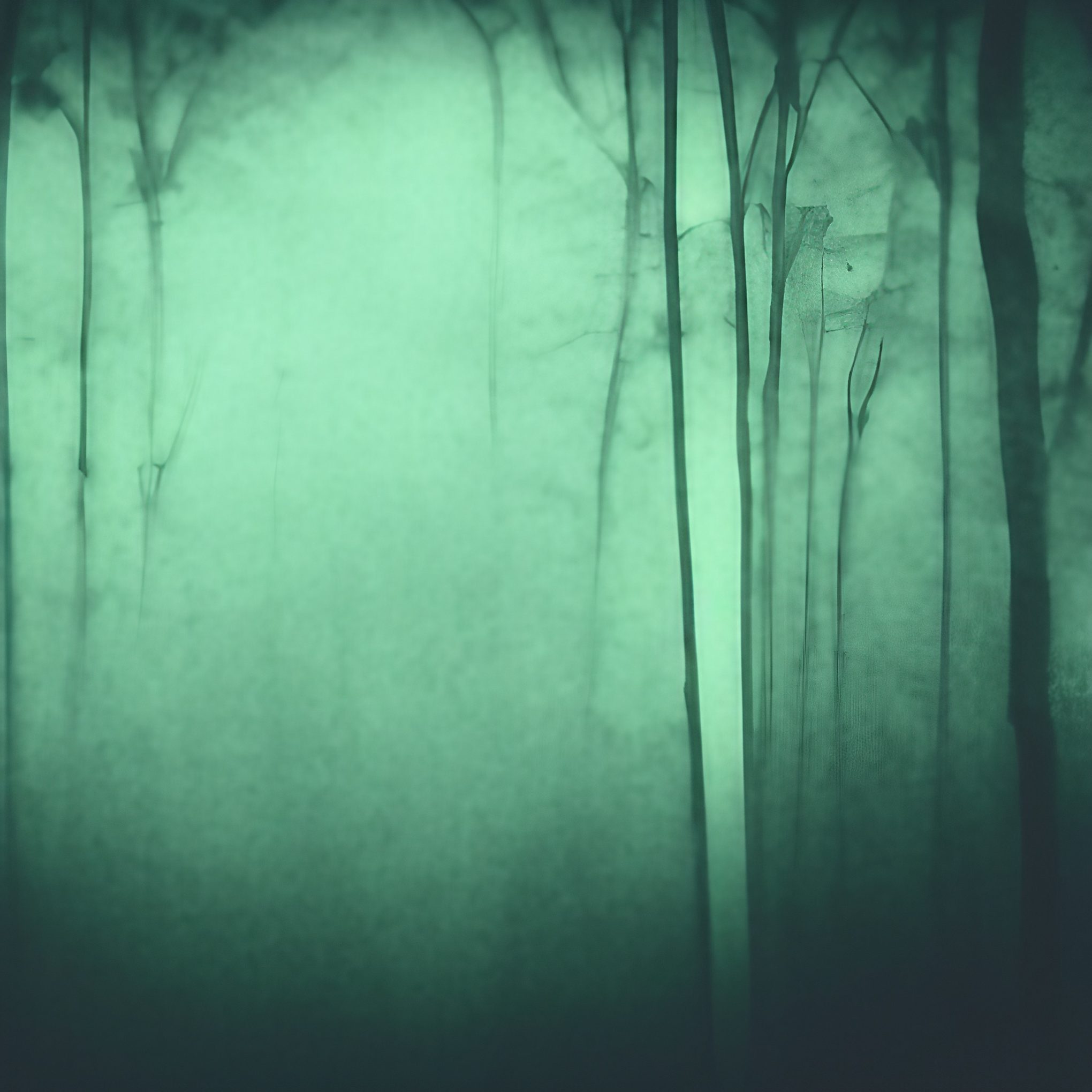 Creepy Horror Style Forest Background Free Stock Picture