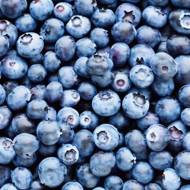 Close up of Blueberries free photo download